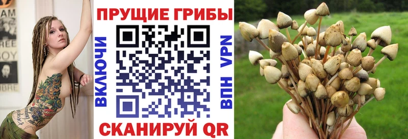 Галлюциногенные грибы ЛСД  Теберда 