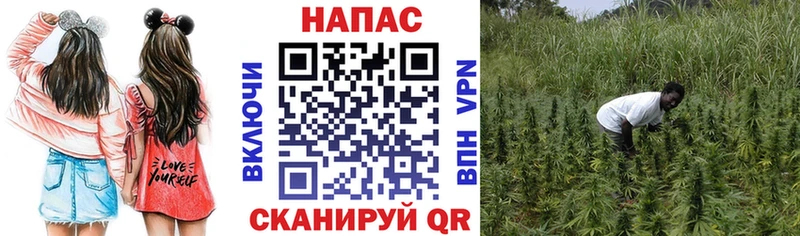 Марихуана SATIVA & INDICA  mega ссылки  Теберда 